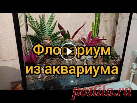 Флорариум своими руками! Всем привет! Сегодня видео мы будем превращать аквариум в флорариум!!! Это очень интересно! Приглашаю к просмотру!...