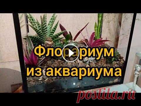 Флорариум своими руками! Всем привет! Сегодня видео мы будем превращать аквариум в флорариум!!! Это очень интересно! Приглашаю к просмотру!...