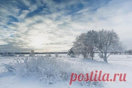 Facebook/Костомукша, Карелия. Автор фото: Андрей Сериков.