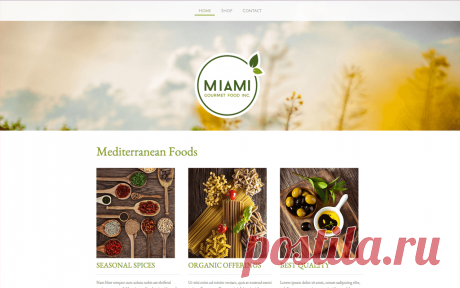 Website Templates - Responsive, Modern and Stylish - Jimdo