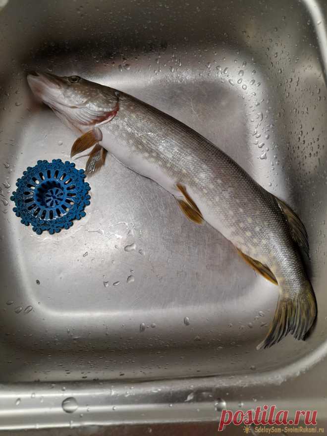 Как вкусно пожарить щуку Сегодня делюсь простым рецептом жареной щуки. Раньше я всегда считала, что щука получается суховатой, особенно когда запекала её в духовке, но этот способ просто бомба! Что понадобится: филе одной щуки; 1 луковица; 100 г муки; соль, перец, приправы для рыбы; 1-2 столовых ложки кипячёной воды. Как