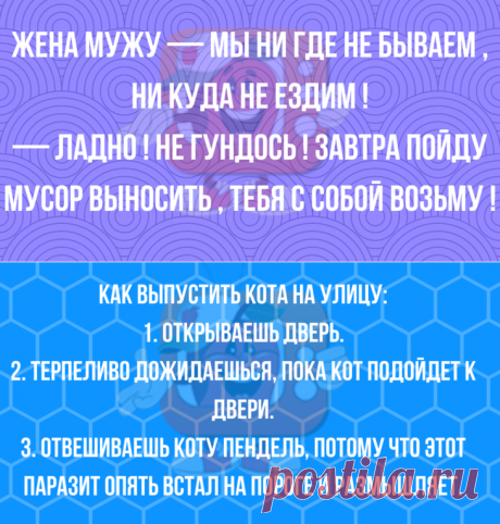 Чёткий юмор для хорошего начала дня