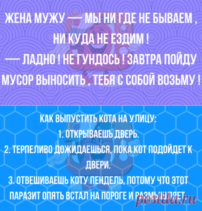 Чёткий юмор для хорошего начала дня