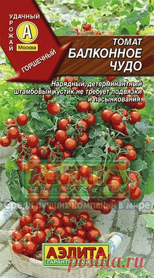 Томат раннеспелый "Балконное чудо"