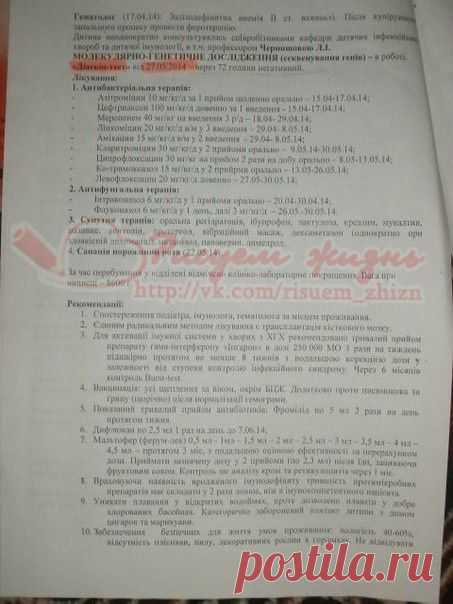 Выписка ч.4. Назар