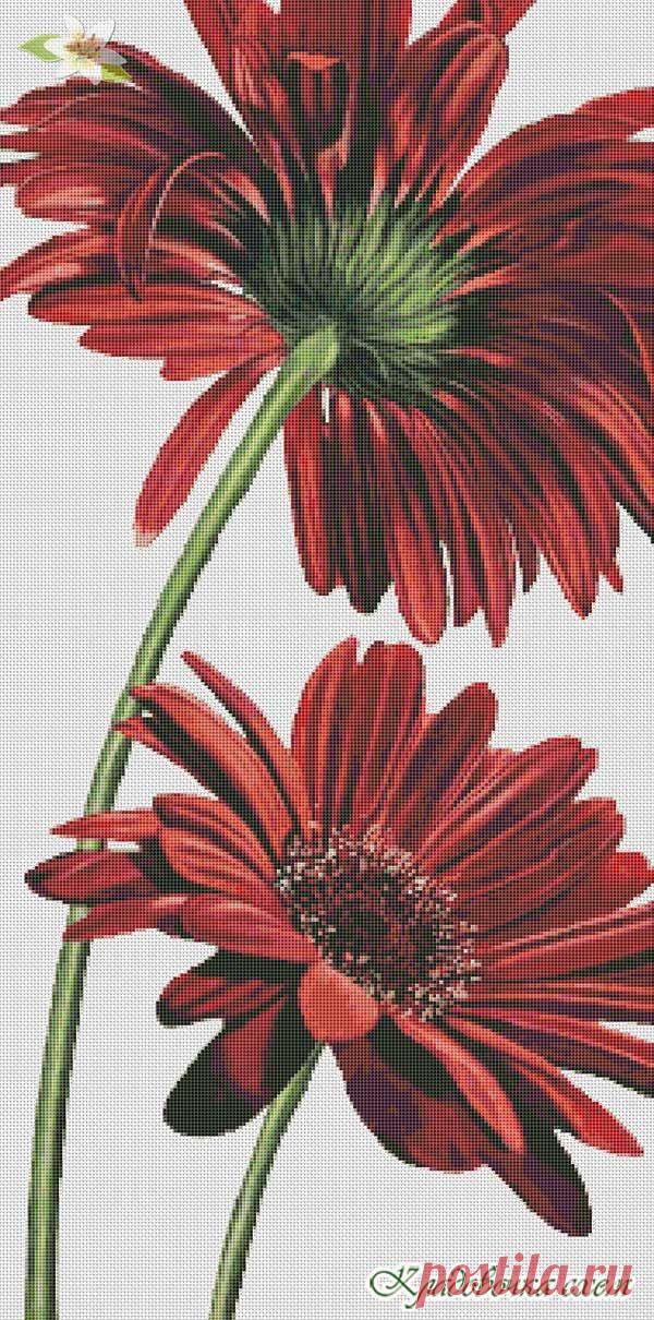 Герберы красные - Ромашки, герберы - Цветы - Схемы в XSD - Кладовочка схем - вышивка крестиком
