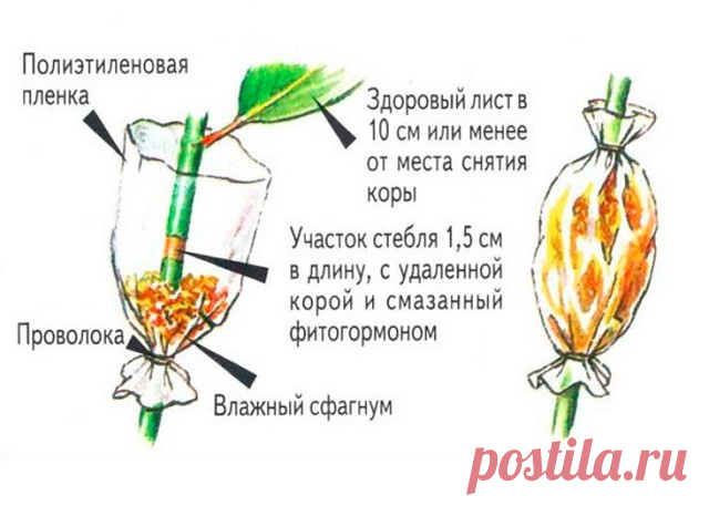 Воздушные отводки

