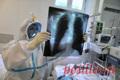 Российский вирусолог назвал омикрон-штамм коронавируса «вырожденцем». Вирусолог, главный научный сотрудник НИЦ имени Гамалеи Анатолий Альтштейн заявил, что новый омикрон-штамм COVID-19, обнаруженный в Южной Африке, ведет себя как «вырожденец», что может говорить о скором завершении пандемии. По мнению вирусолога, у омикрон-штамма дисбаланс в генетической системе.