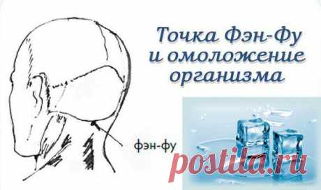 Омоложение организма. Точка Фэн-Фу