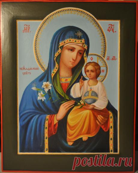 Вопль к Богоматери » Женский Мир