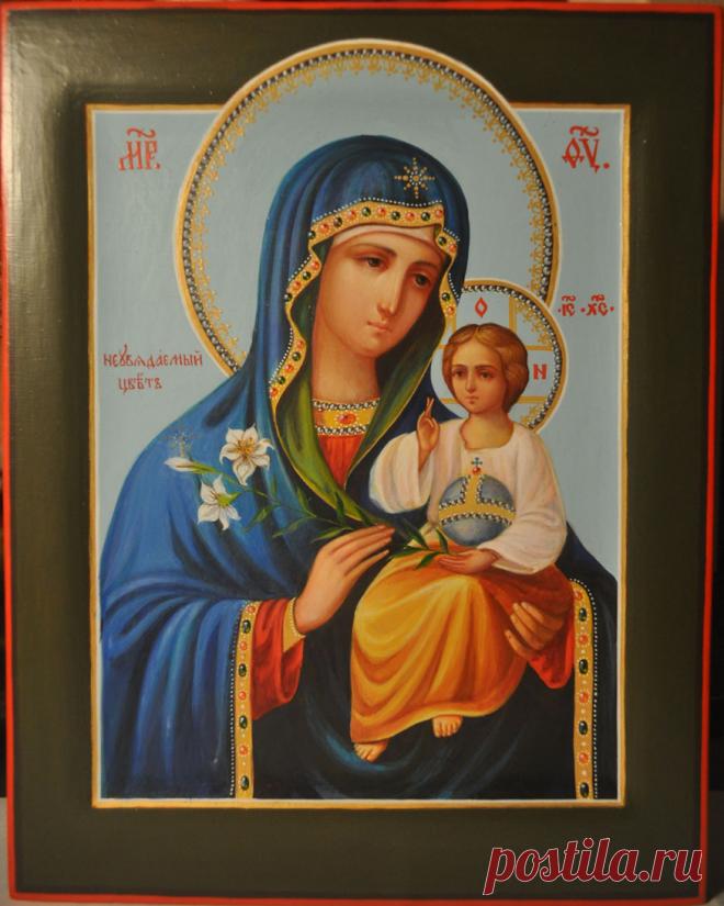 Вопль к Богоматери » Женский Мир