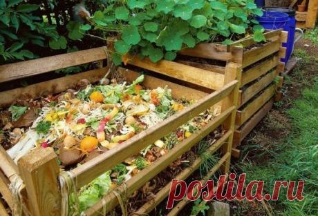 Как ускорить созревание компоста.
