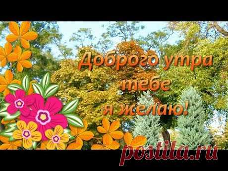 (5) Доброе Осеннее Утро🌞Доброе Утро Хорошего Дня🌼Пожелания с Добрым Утром - YouTube