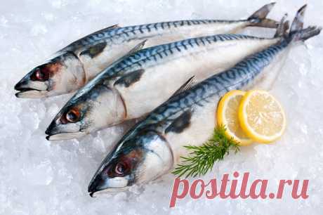 Котлеты из скумбрии