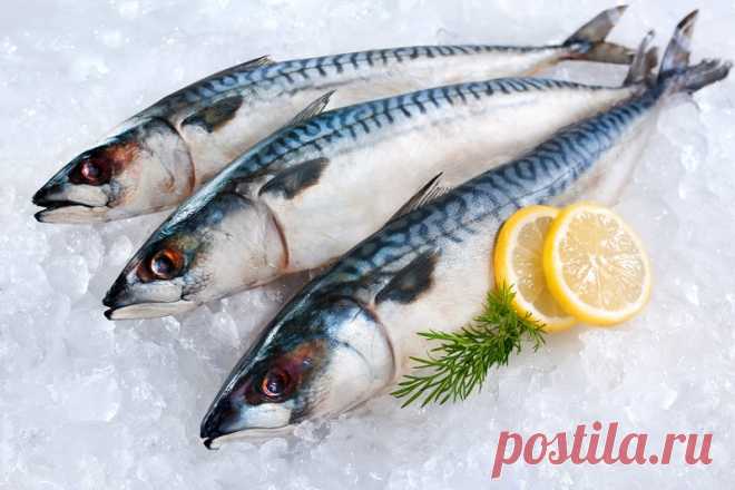 Котлеты из скумбрии