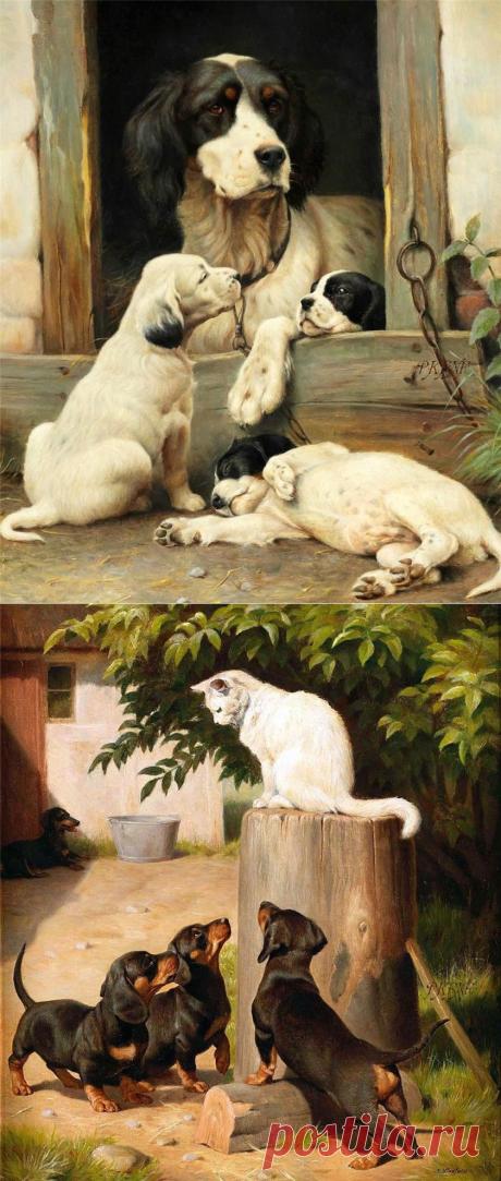 Dog...
