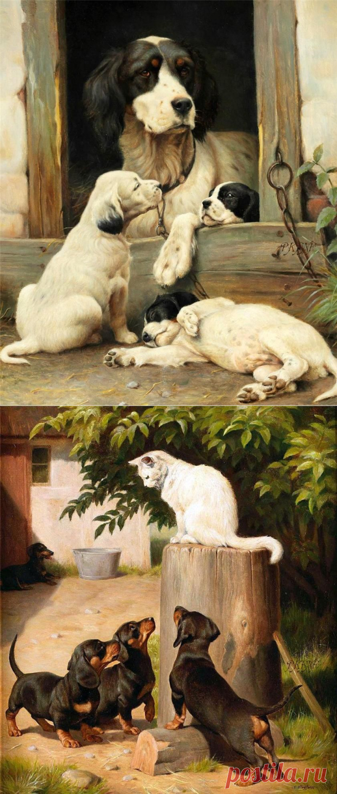 Dog...