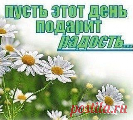 тесто для пиццы.Очень много рецептов