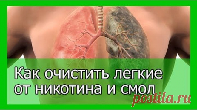Лучший способ очистить легкие от никотина и смол