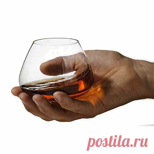 Без заголовка.