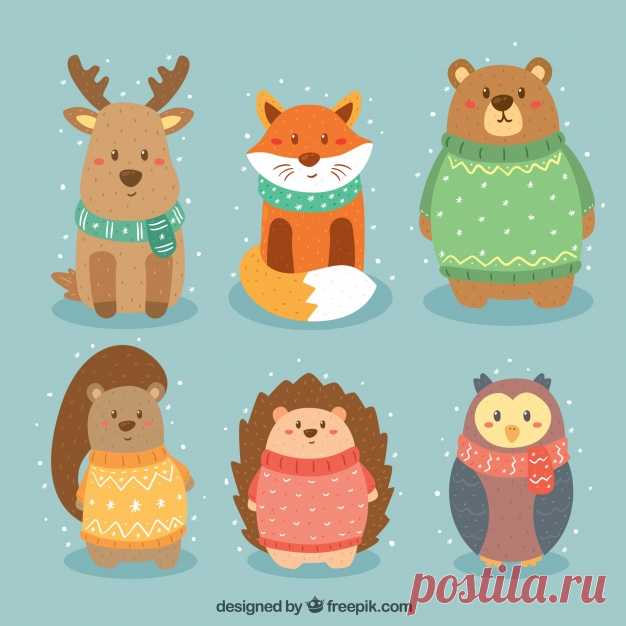 Пакет красивых лесных животных Более миллиона свободных векторов, PSD, фотографии и бесплатные иконки. Эксклюзивные халявы и все графические ресурсы, которые необходимые для ваших проектов