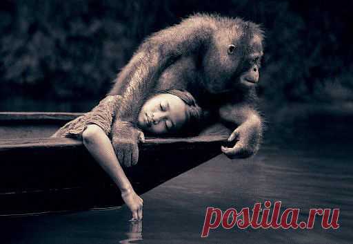 Грегори Колберт (Gregory Colbert) - купить книги, галерея фотографий, биография, статьи.
