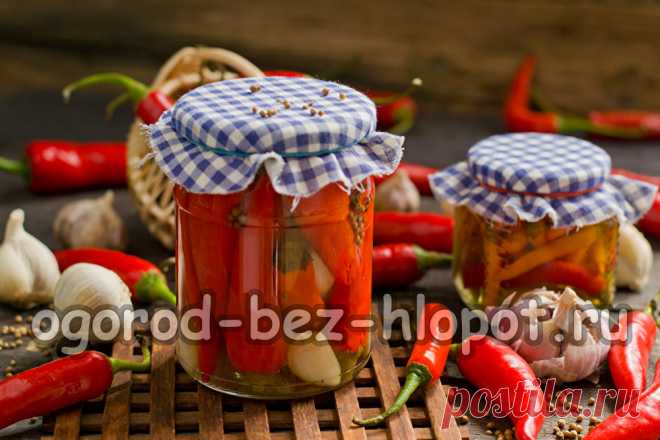 Маринованный острый перец по-армянски Маринованный острый перец по-армянски – огненная заготовка на зиму с чесночком, в кисло-сладком маринаде с растительным маслом. Такого перца много не съешь – эта закуска на любителя, но если распробовать, то за уши не оттащишь, особенно мужчин!На приготовление понадобится 45 минут. Из ингредиентов, указанных в рецепте получится 1 полулитровая банка.Ингредиенты:Как приготовить маринованный острый перец по-армянски