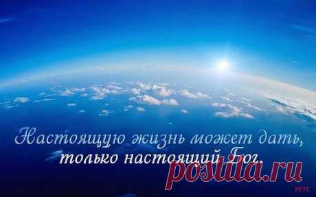 Мы царственные священники. Подобно богоугодному царю, мы не должны отдавать своих сил женщинам, упиваться вином и пивом. Пьяный человек забывает, что говорит закон и притесняет тех, кто слаб. Только погибающие люди в агонии души любят пить и забывать обо всем..Царь должен защищать тех, кто не может сам этого сделать, вступаться за тех, кто обездолен (2Цар.14:4-11). Любить Бога также значит любить своего ближнего.