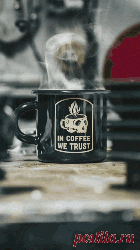 Csmd Конкретный Серфер GIF - Csmd Конкретный Серфер Конкретные Серферы - Открывайте и делитесь GIF-файлами