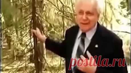 Как лечиться вылечиться и жить. Скрываемая правда.