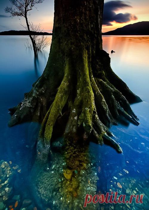 Belgique | coiour-my-world: Sunset over Loch Lomond ~ Simon...