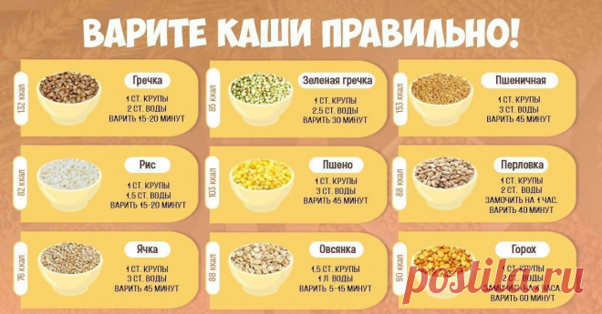 Каша, которую рекомендуют есть всем пенсионерам. Дешево, но очень полезно | Дневник здоровья | Дзен