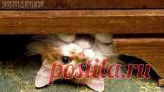 Рамблер/почта – надежная и бесплатная электронная почта, создать электронную почту с защитой от спама и вирусов