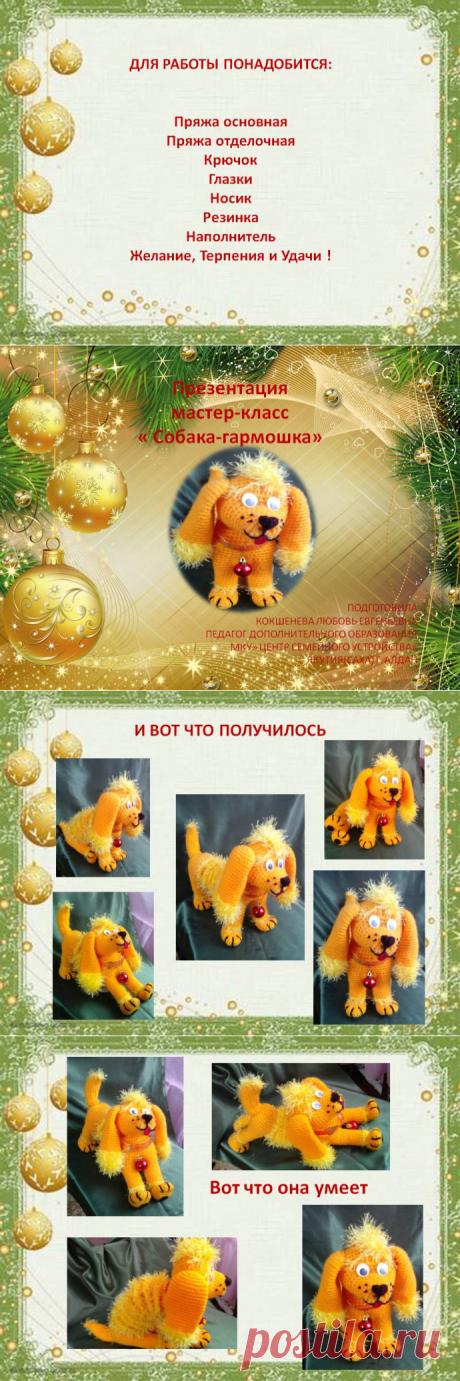 Собака-гармошка