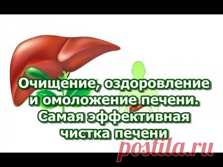 Очищение, оздоровление и омоложение печени. Самая эффективная чистка печени