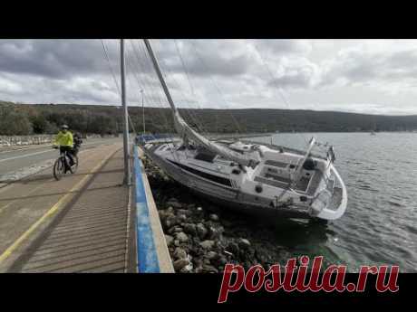 Погода сильно переменчива. Стаи койотов у дома