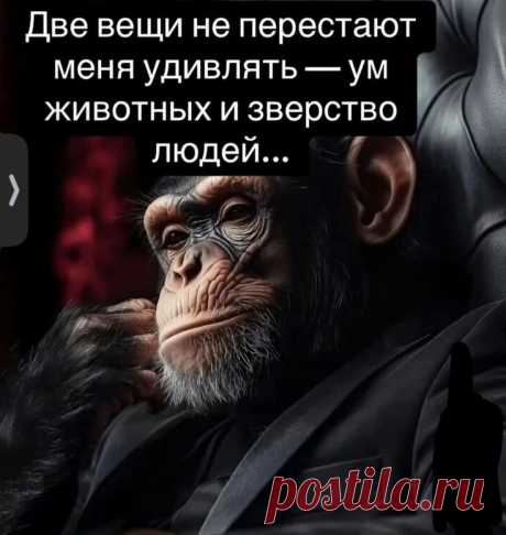 Пин на доске Женские цитаты