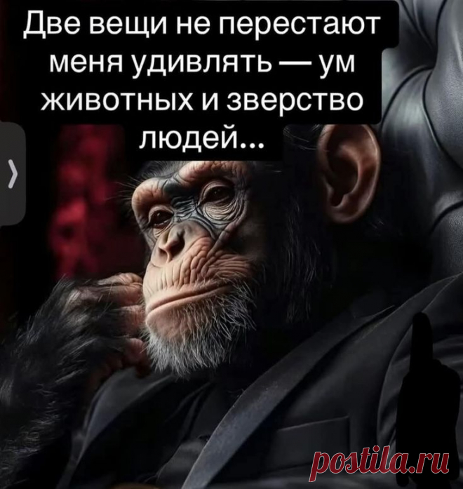 Пин на доске Женские цитаты