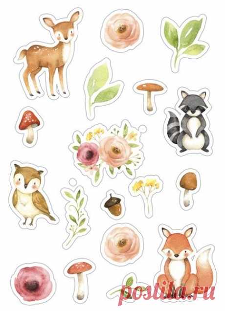 (35) Pinterest