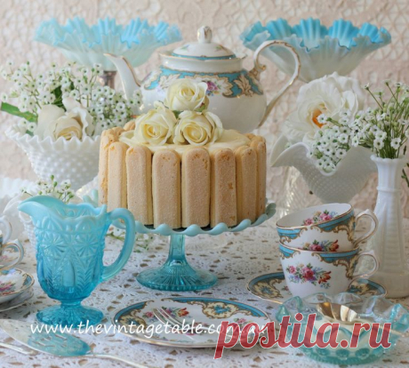 tiramisu charlotte cake | Tea Time