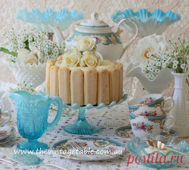 tiramisu charlotte cake | Tea Time