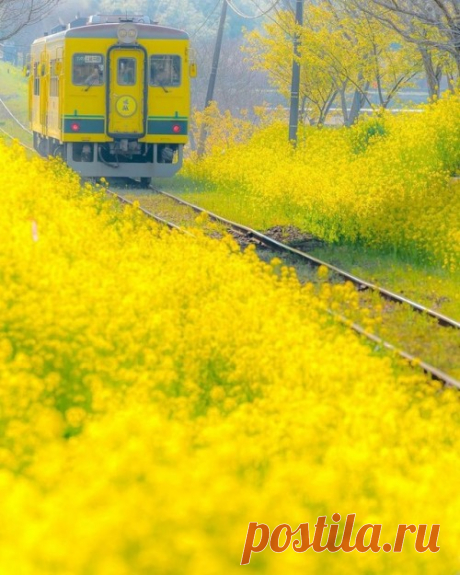 HAVE A NICE DAY
