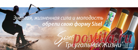 Sisel International - Home