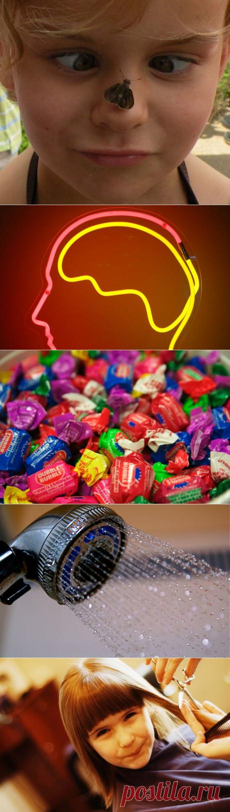 Мифы о теле человека,в которые вы верили годами | ПолонСил.ру - социальная сеть здоровья