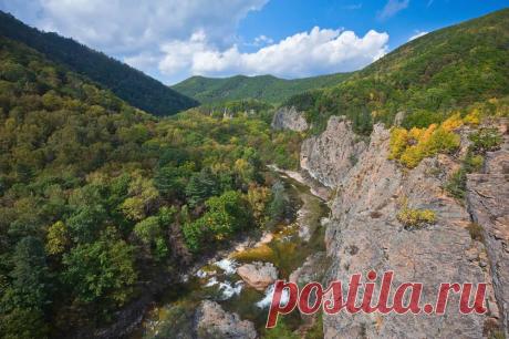 ✈ По следам Амурского тигра: отдых в Лазовском заповеднике Приморского края