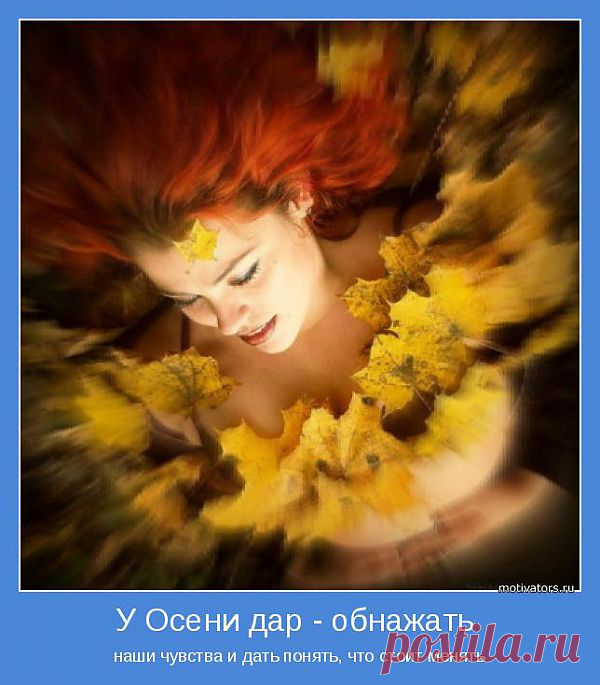 осенний дар