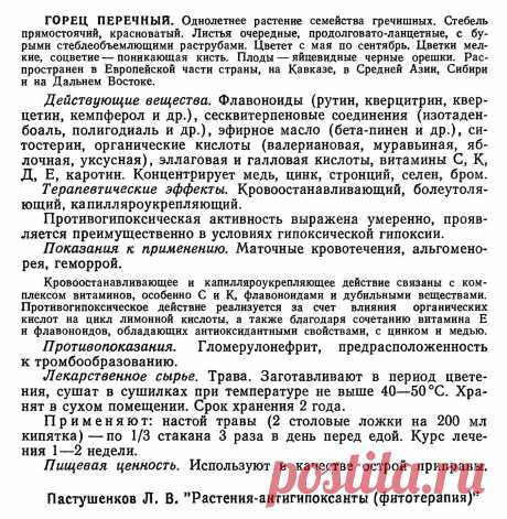 Горец перечный