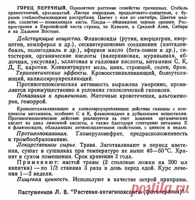 Горец перечный