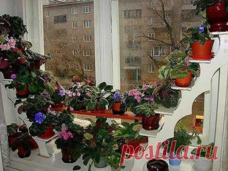 Удобные полочки для рассады и комнатных цветов .
Совсем скоро мы начнем высаживать рассаду и как всегда столкнемся с проблемой нехватки места на окнах. Вот идея, которая поможет не только тем, кто любит комнатные цветы, но и садоводам.