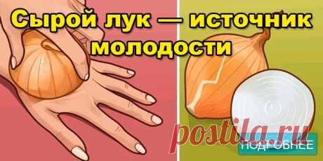 Сырой лук — источник молодости - ПОЛЕЗНЫЕ СОВЕТЫ